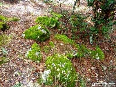 Parque Natural Cazorla-Sistema Prebéticomochilas para campamento monasterio de yuste bosque de oma;